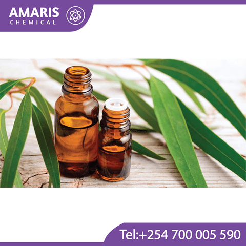 Eucalyptus Globulus oil