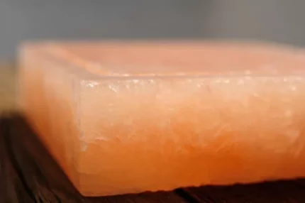Mineral lick ( rock salt)