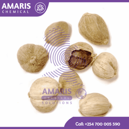 White cardamom