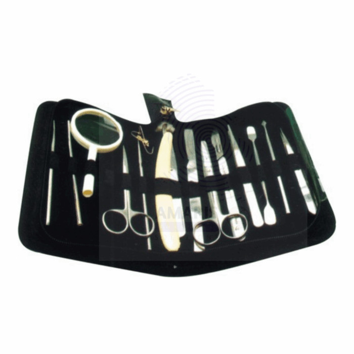 Dissecting set fourteen instrument