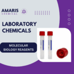 Molecular Biology Reagents