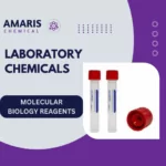 Molecular Biology Reagents