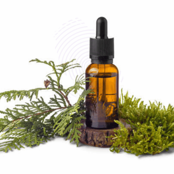 Cedar Leaf oil Amaris Chemicals
