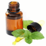 Celery Leaf oil Amaris Chemicals