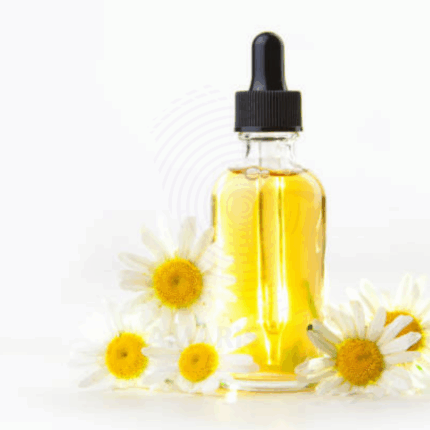 Chamomile oil Amaris Chemicals