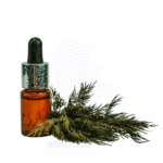 Dill Herb oil Amaris Chemicals