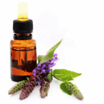 Echium Seed Oil Amaris Chemicals