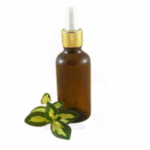 Elderberry Seed Oil Amaris Chemicals