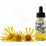 Elecampane oil Amaris Chemical