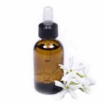 Jasmin Absolute oil Amaris Chemicals