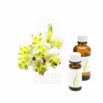 Litsea Cubeba oil Amaris Chemicals