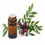 Mastic oil Amaris Chemicals