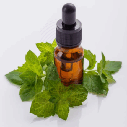 Melissa Blend(compound) oil Amaris Chemicals