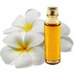 Michelia Flower oil Amaris Chemicals