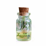 Savory Summer oil Amaris Chemicals