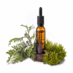 Thuja wood oil Amaris Chemicals