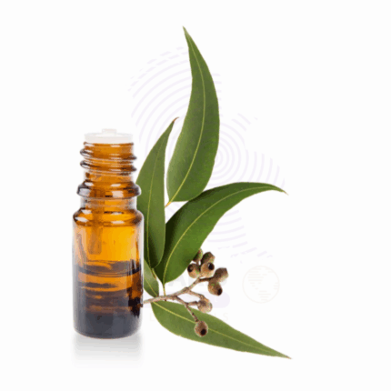 Eucalyptus oil Amaris Chemicals
