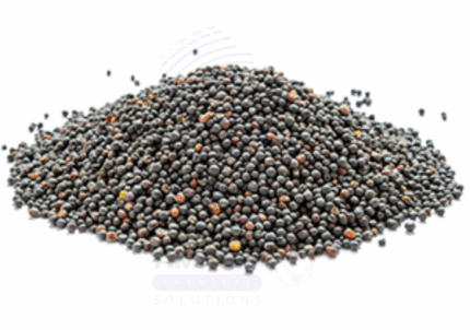 RAPESEED Amaris Chemicals