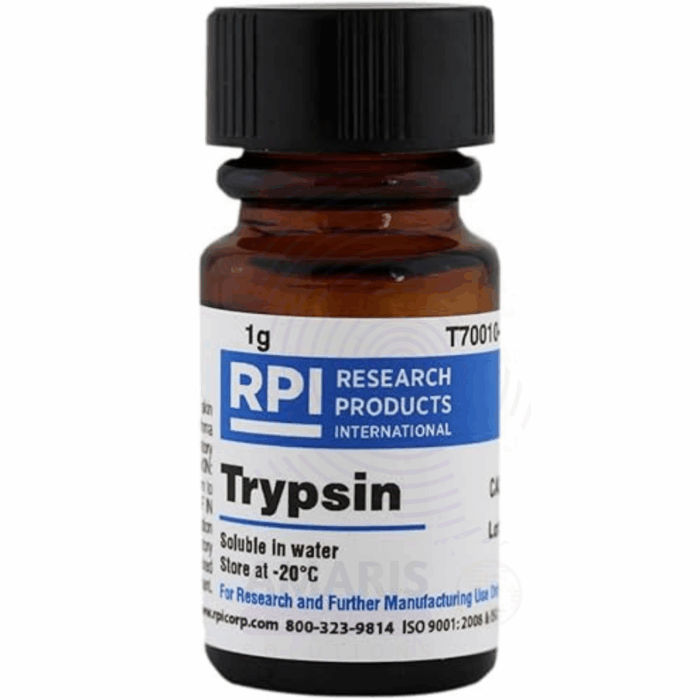 Trypsin Extra Pure Amaris Chemicals