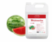 Watermelon Liquid Flavour Amaris Chemicals