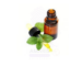 Spearmint Oil amaris chemicals