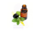 Spearmint Oil amaris chemicals