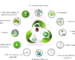 The Role of Chemical Suppliers in Industrial Sustainability and Green Manufacturing