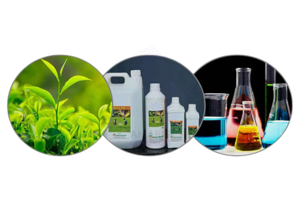 Soil Health Why Testing Comes Before Fertilizing 1