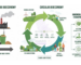 The Rise of Bio-Based Chemicals_ Can Renewable Raw Materials Replace Fossil-Based Inputs