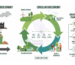 The Rise of Bio-Based Chemicals_ Can Renewable Raw Materials Replace Fossil-Based Inputs